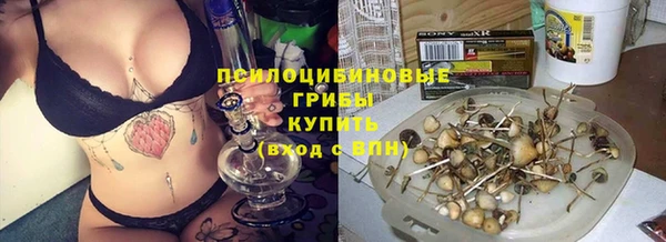MDMA Карпинск